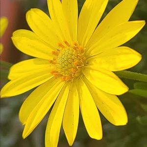 Everything MUST go!!